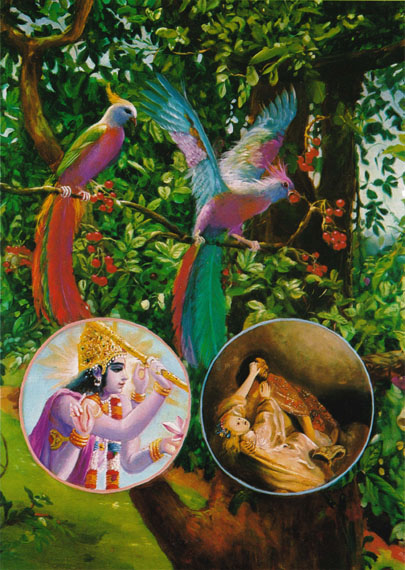 two-birds-tree-of-life