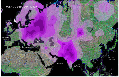 haplogroup R1a1a