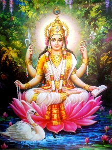 Sarasvati Padma4